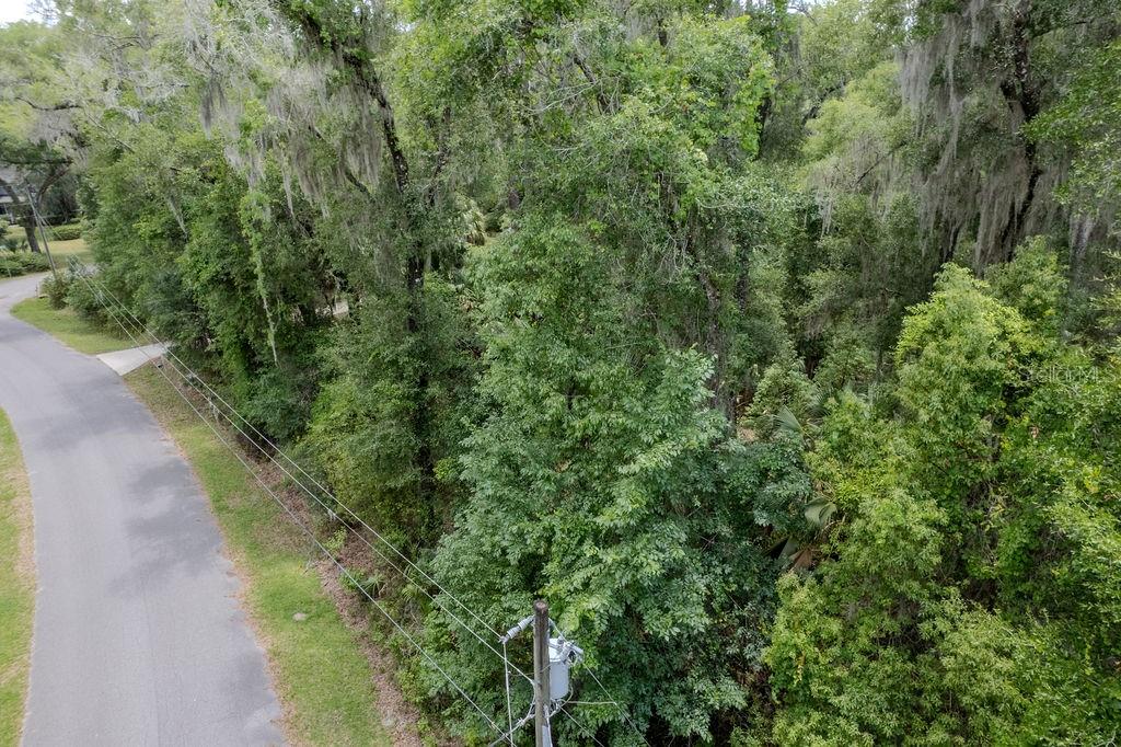 An aerial view shows a paved road running alongside a dense, wooded lot — Lot 6 SW 186 CIRCLE, DUNNELLON, FL