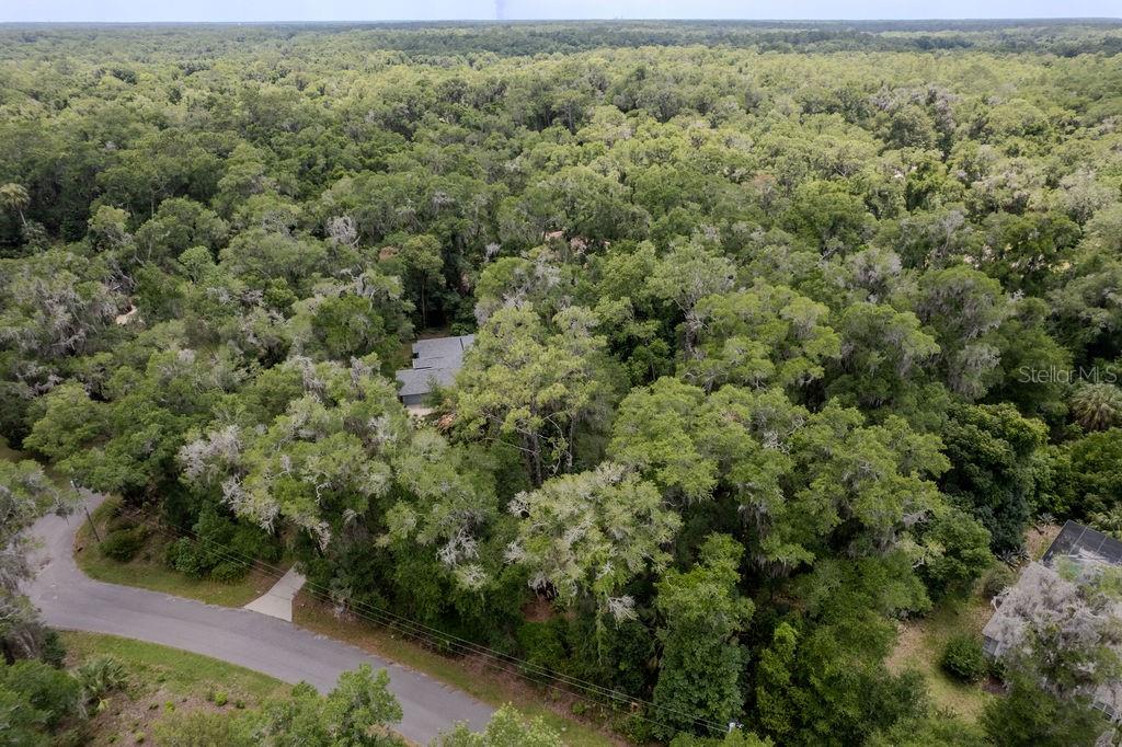 An aerial view shows a house nestled within a dense, wooded forest near a road — Lot 6 SW 186 CIRCLE, DUNNELLON, FL