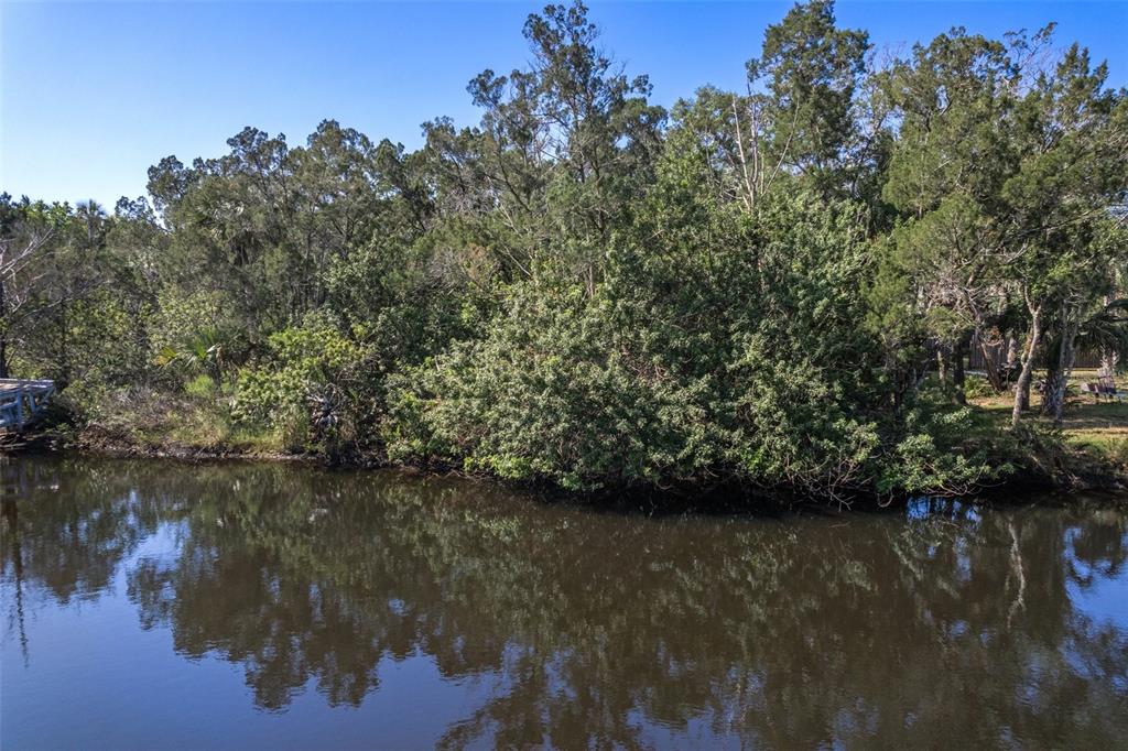A view of a calm, dark canal bordered by dense trees and lush vegetation — 11681 W NORTH PLACE, HOMOSASSA, FL