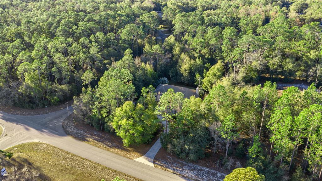 An aerial view shows a house nestled within a dense forest near a paved road — 20698 SW 93RD LANE ROAD, DUNNELLON, FL
