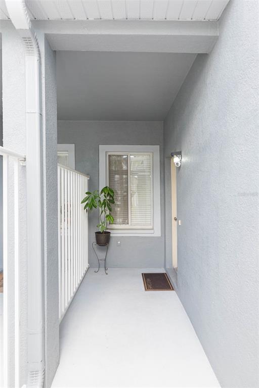 A covered outdoor entryway features gray walls, a window, a potted plant, and a doormat — 18136 NASSAU POINT DRIVE, TAMPA, FL