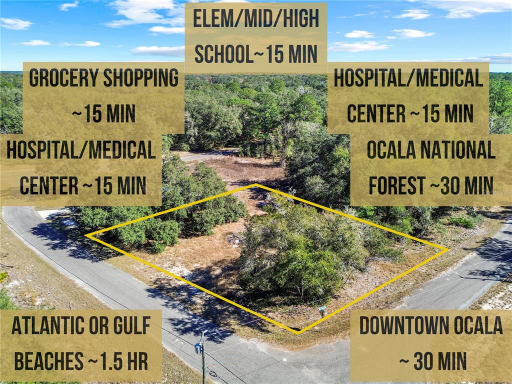 An aerial view shows a vacant, wooded corner lot outlined in yellow with text overlays — 0 GUAVA TERRACE PLACE & BAY PLACE RUN, OCKLAWAHA, FL