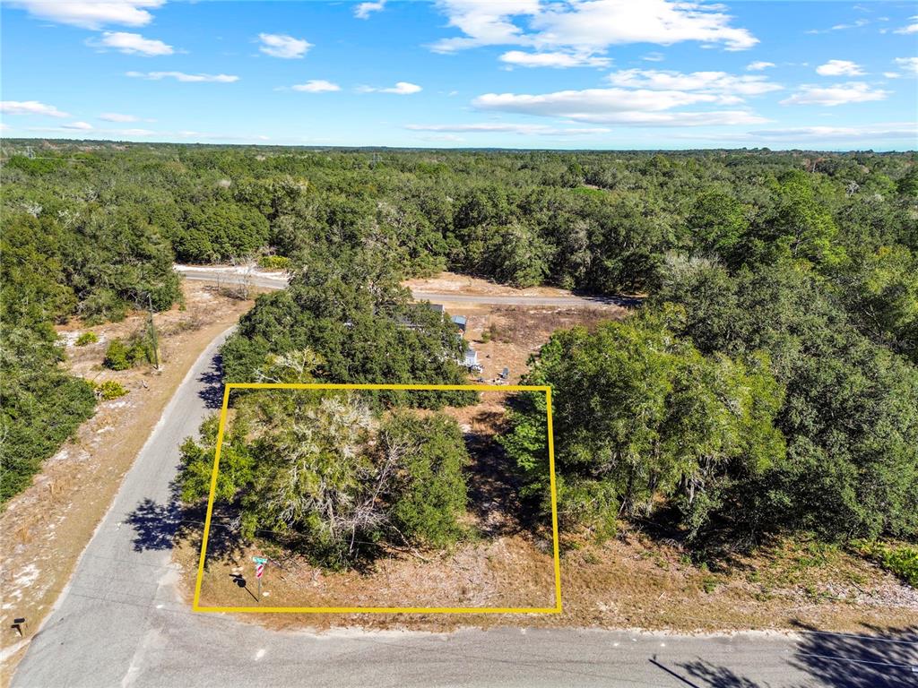 An aerial view shows a vacant, tree-covered lot outlined in yellow at a road intersection — 0 GUAVA TERRACE PLACE & BAY PLACE RUN, OCKLAWAHA, FL