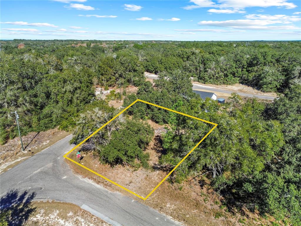 An aerial view shows a vacant, tree-covered lot outlined in yellow at a road intersection — 0 GUAVA TERRACE PLACE & BAY PLACE RUN, OCKLAWAHA, FL