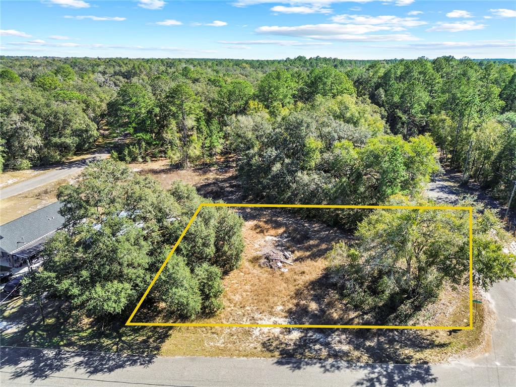An aerial view shows a vacant, wooded residential lot outlined in yellow along a paved road — 0 GUAVA TERRACE PLACE & BAY PLACE RUN, OCKLAWAHA, FL