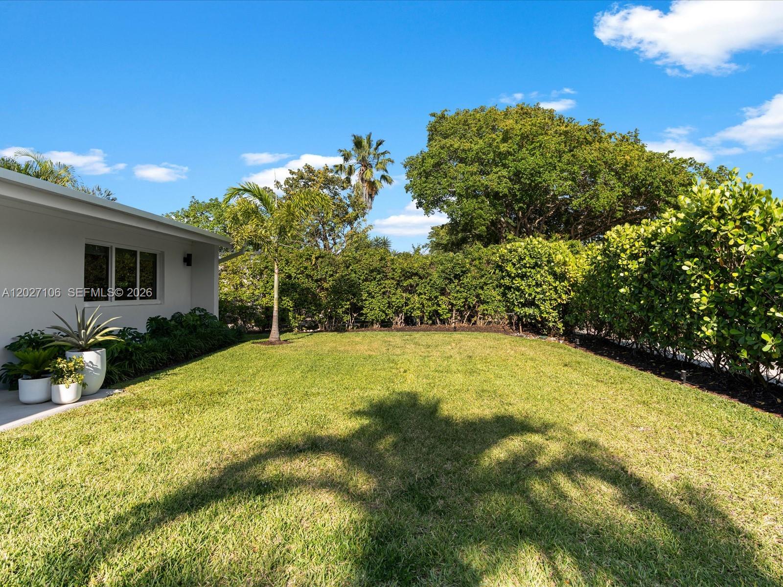 A grassy backyard features a palm tree, dense perimeter hedges, and a white house exterior — 1945 Alamanda Dr # 0, North Miami FL 33181, NORTH MIAMI, FL