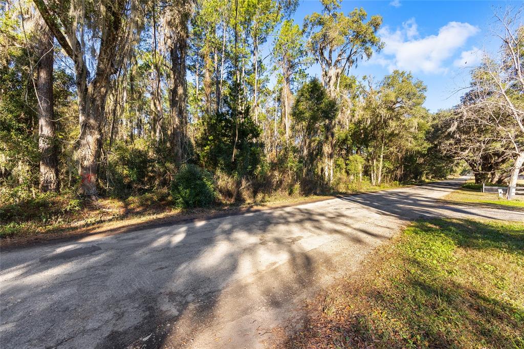 A paved road runs alongside a wooded lot with tall trees and Spanish moss — TBD SW 125TH AVENUE, OCALA, FL