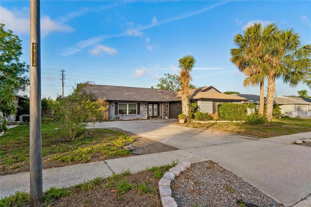 A single-story house with a stone facade, a concrete driveway, and two palm trees — 13100 WESTERN CIRCLE, HUDSON, FL