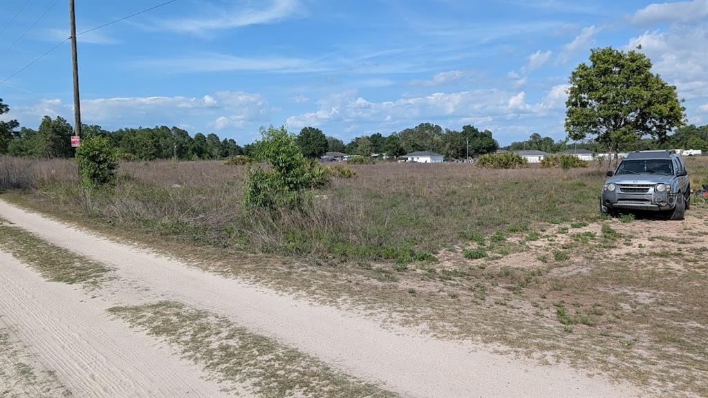A dirt road runs alongside a large, undeveloped grassy lot with scattered shrubs and trees — Lot 88 SW 152 ND COURT, OCALA, FL
