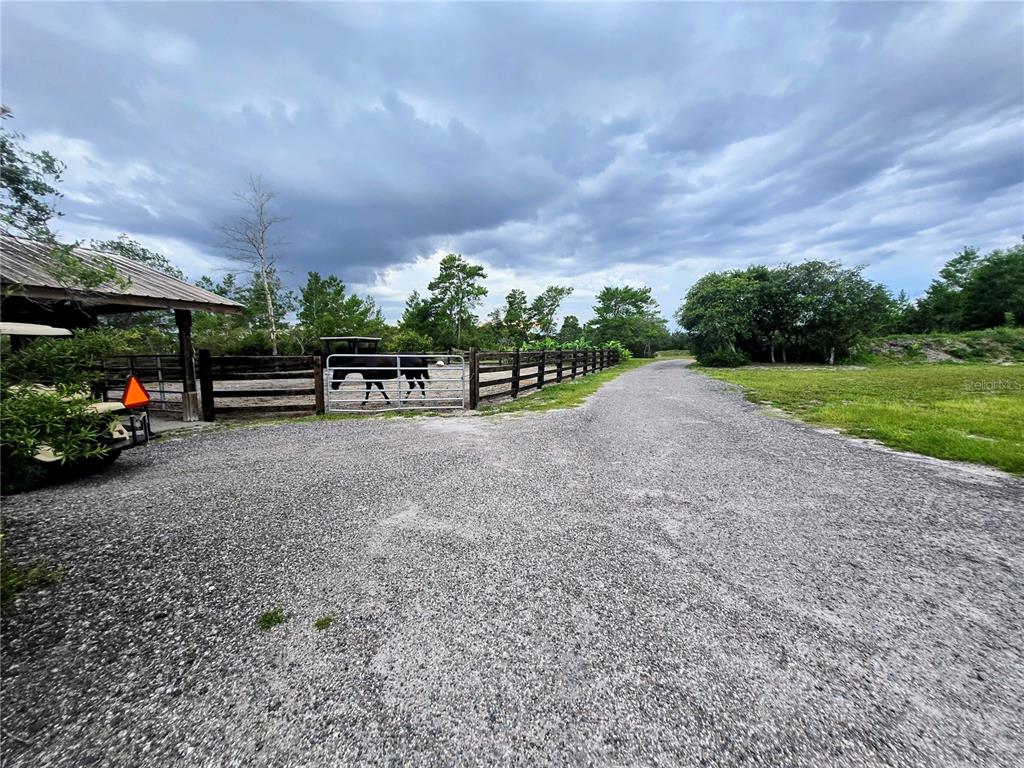 A gravel driveway leads toward a fenced horse pasture with a dark horse inside — 3130 LORI COURT, DELTONA, FL