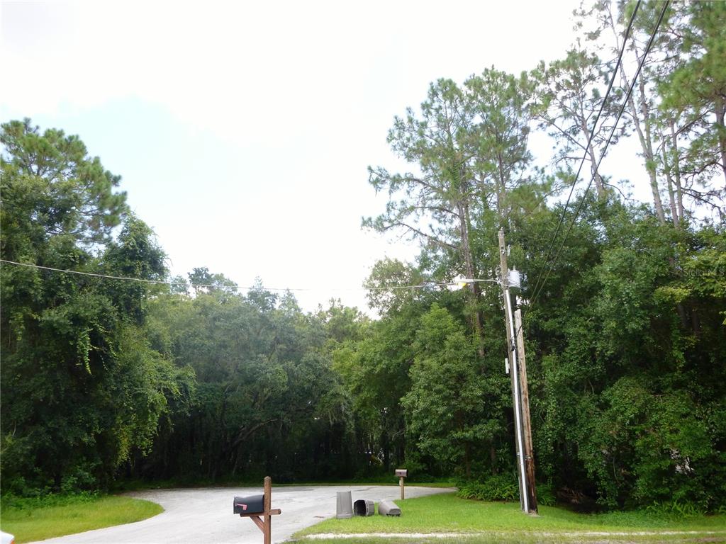 A gravel driveway leads into a wooded area with a utility pole and mailboxes — 7709 WINDWARD WAY, ODESSA, FL