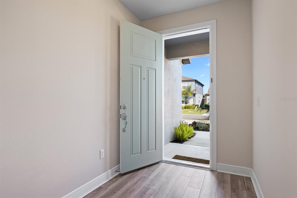 12945 BROOKSIDE MOSS DRIVE, RIVERVIEW, FL — photo 4 of 30