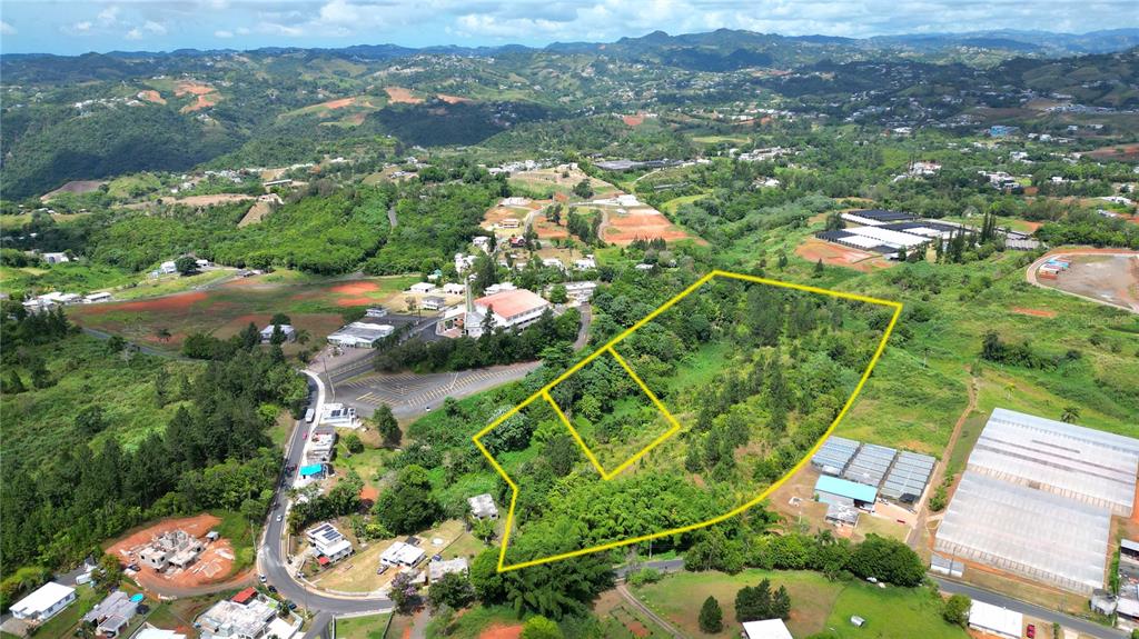 An aerial view shows a large, undeveloped plot of land outlined in yellow near buildings — 779 St. QUEBRADILLAS, BARRANQUITAS, PR
