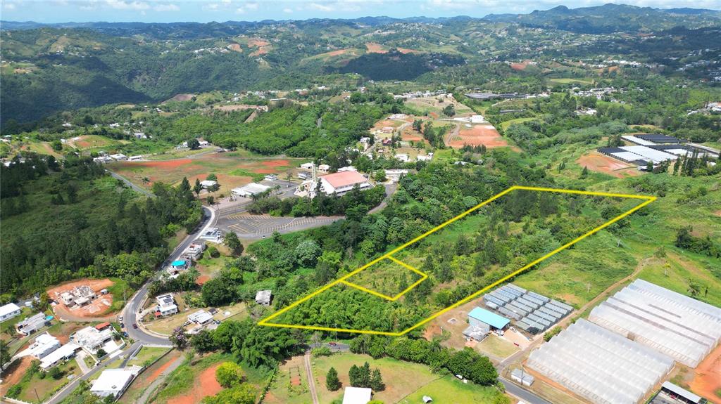 An aerial view shows a large, undeveloped plot of land outlined in yellow near greenhouses — 779 St. QUEBRADILLAS, BARRANQUITAS, PR