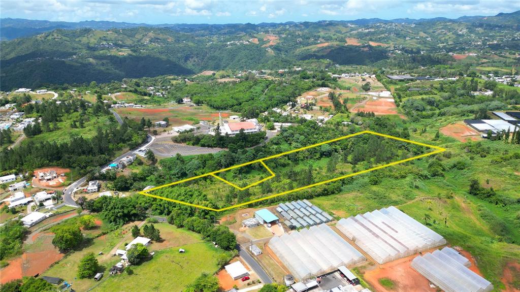 An aerial view shows a large, rectangular plot of land outlined in yellow near greenhouses — 779 St. QUEBRADILLAS, BARRANQUITAS, PR