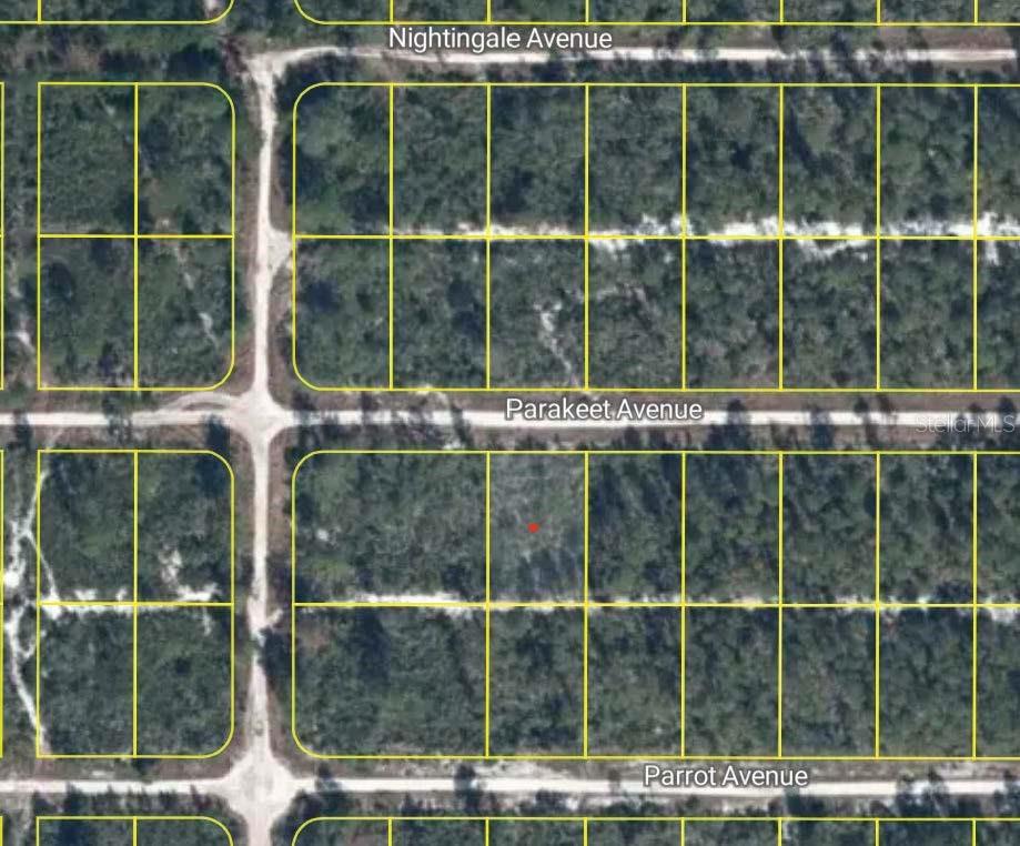 This is a satellite map view showing a grid of undeveloped residential land parcels — 649 PARAKEET AVENUE, SEBRING, FL