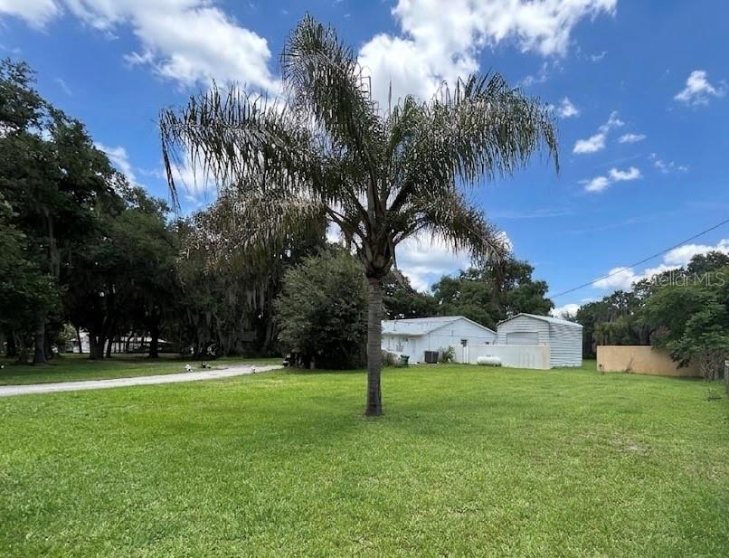 A large palm tree stands in a grassy yard in front of a small house — 1671 FORD ROAD, MIMS, FL