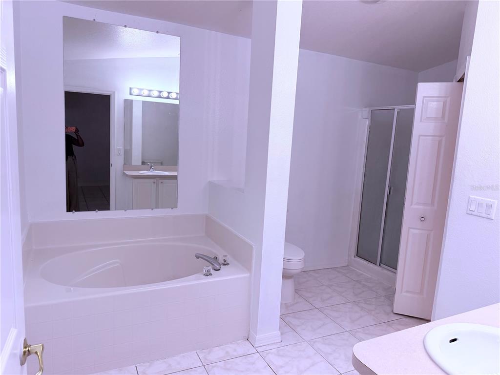 A bathroom features a large soaking tub, a separate shower, and a vanity with mirror — 161 CHINA BERRY CIRCLE, DAVENPORT, FL