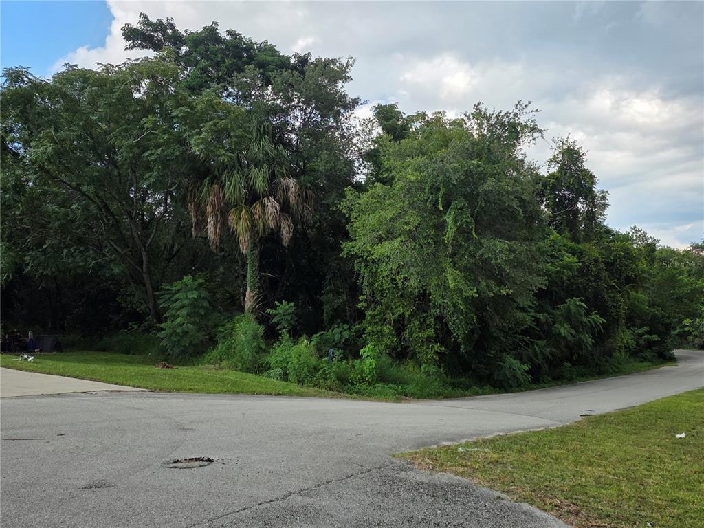 A corner lot with dense trees and vegetation sits at the intersection of two paved roads — 498 ESTHER LANE, ALTAMONTE SPRINGS, FL