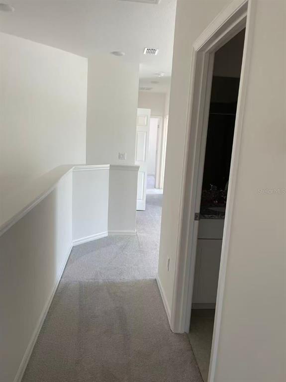 A carpeted hallway leads to a doorway and a bathroom entrance on the right — 34224 ROGALLO LANE, WESLEY CHAPEL, FL