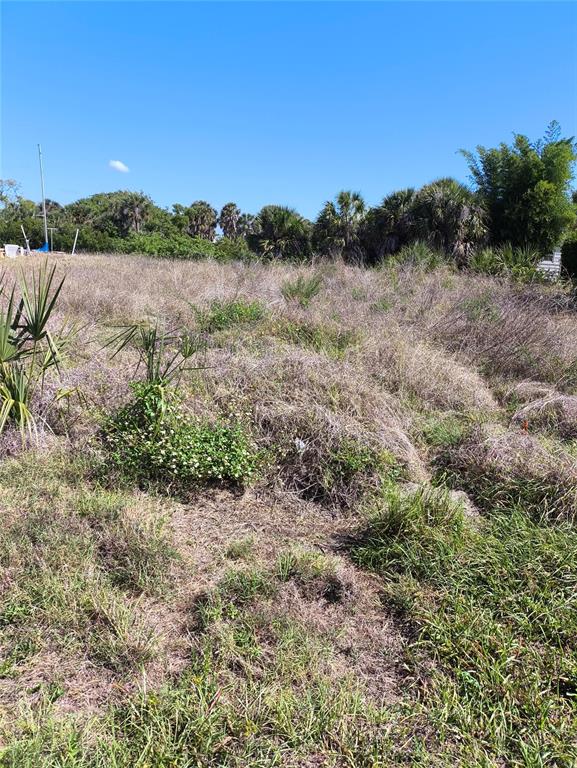 An overgrown, vacant lot features tall grasses, small palms, and a line of distant trees — 19170 NEW HAVEN COURT, PORT CHARLOTTE, FL