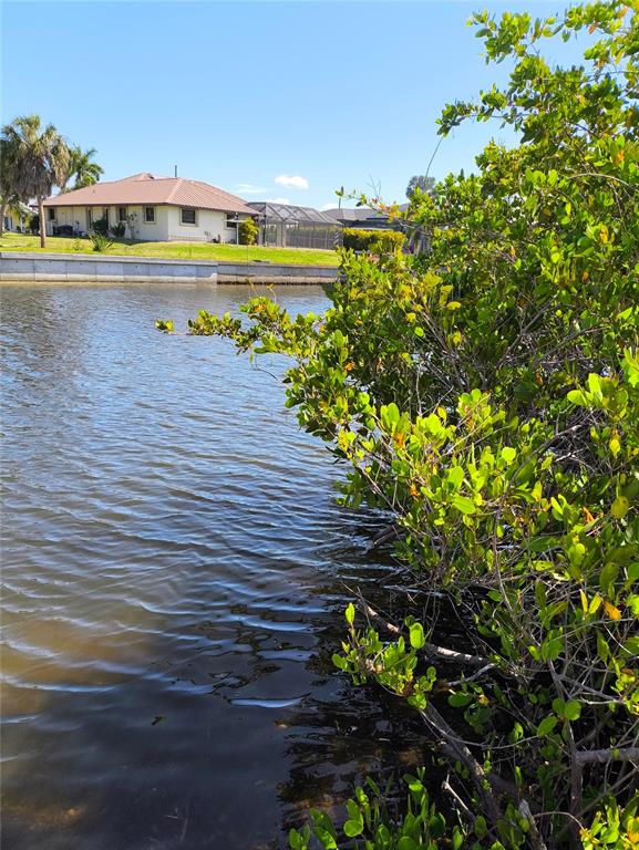 A view of a canal with a residential house in the background and foreground vegetation — 19170 NEW HAVEN COURT, PORT CHARLOTTE, FL