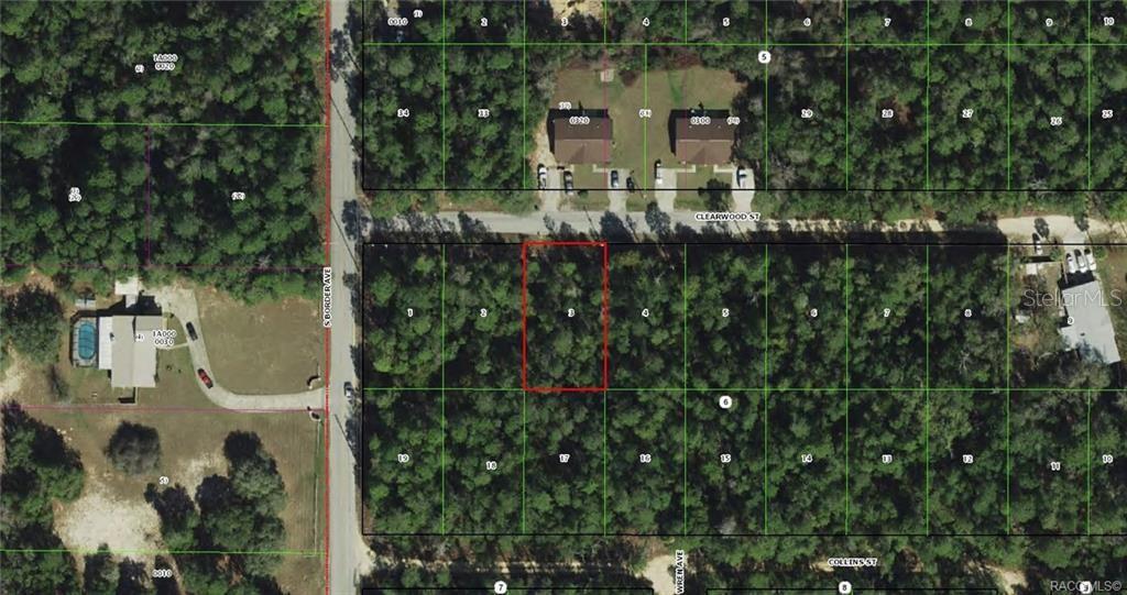 This is an aerial map showing a vacant, wooded residential lot outlined in red — 3003 CLEARWOOD STREET, INVERNESS, FL