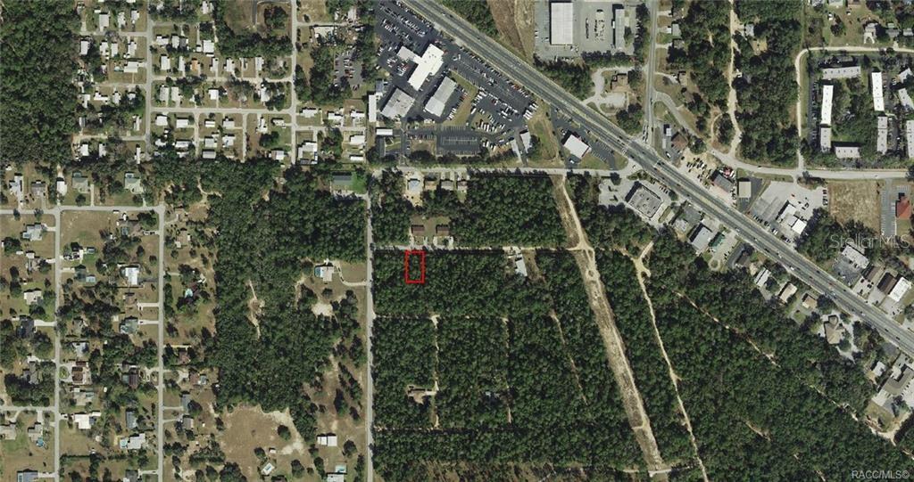An aerial view shows a rectangular plot of land outlined in red within a wooded area — 3003 CLEARWOOD STREET, INVERNESS, FL