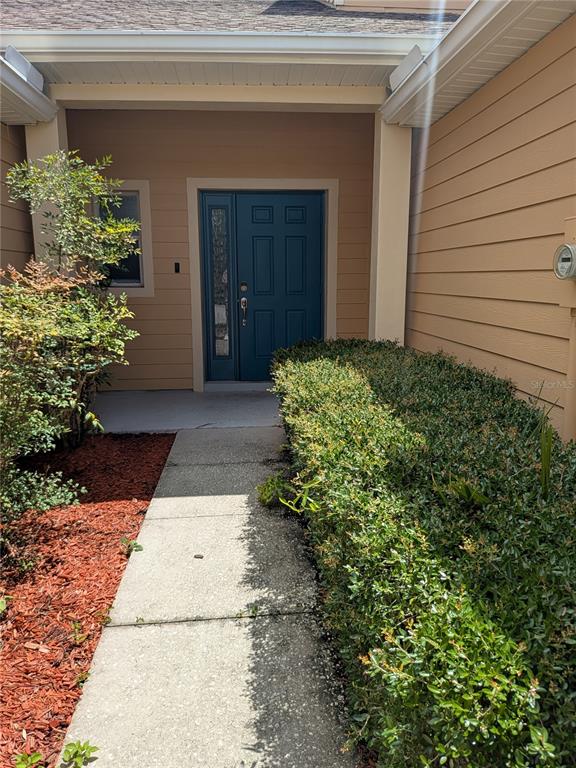 A concrete walkway leads to a blue front door with a side window under a porch — 20405 HARVEST OAK COURT, TAMPA, FL