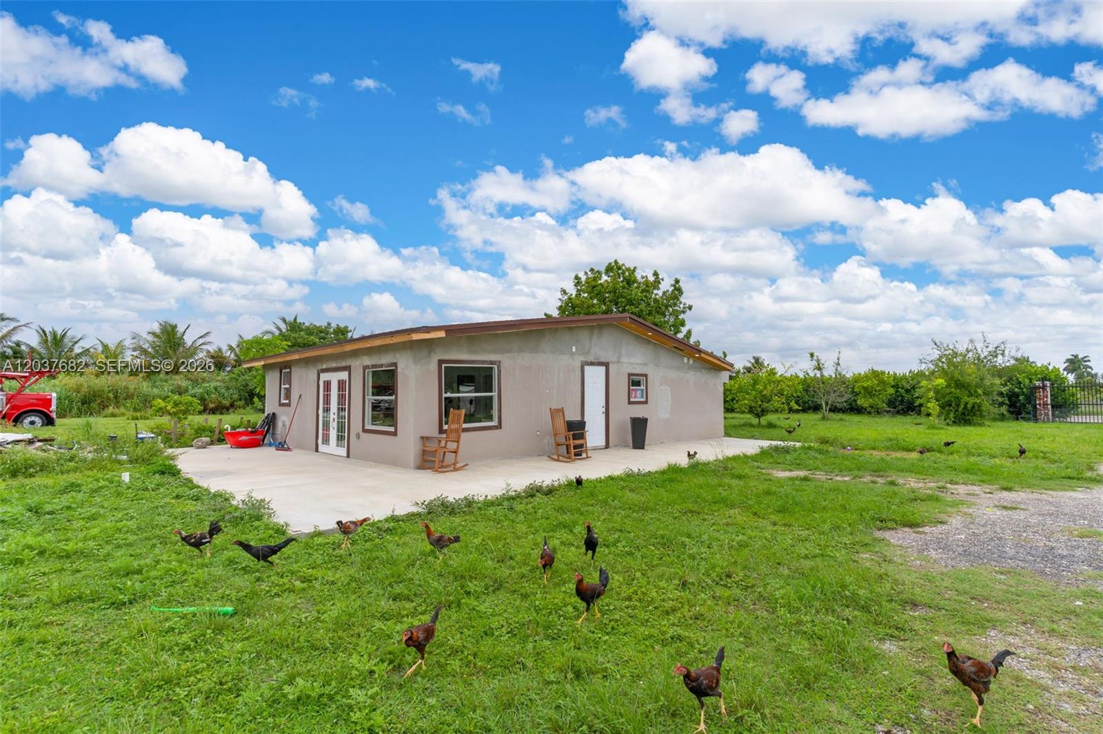 A single-story house with a concrete patio and many chickens roaming the grassy yard — 20304 SW 186th St, Miami FL 33187, MIAMI, FL