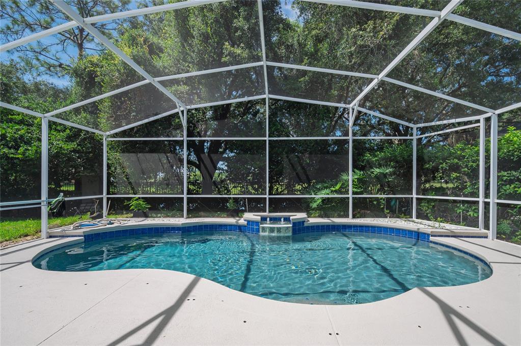 A swimming pool with a small water feature is enclosed by a white screen cage — 2424 STONE CROSS CIRCLE, ORLANDO, FL