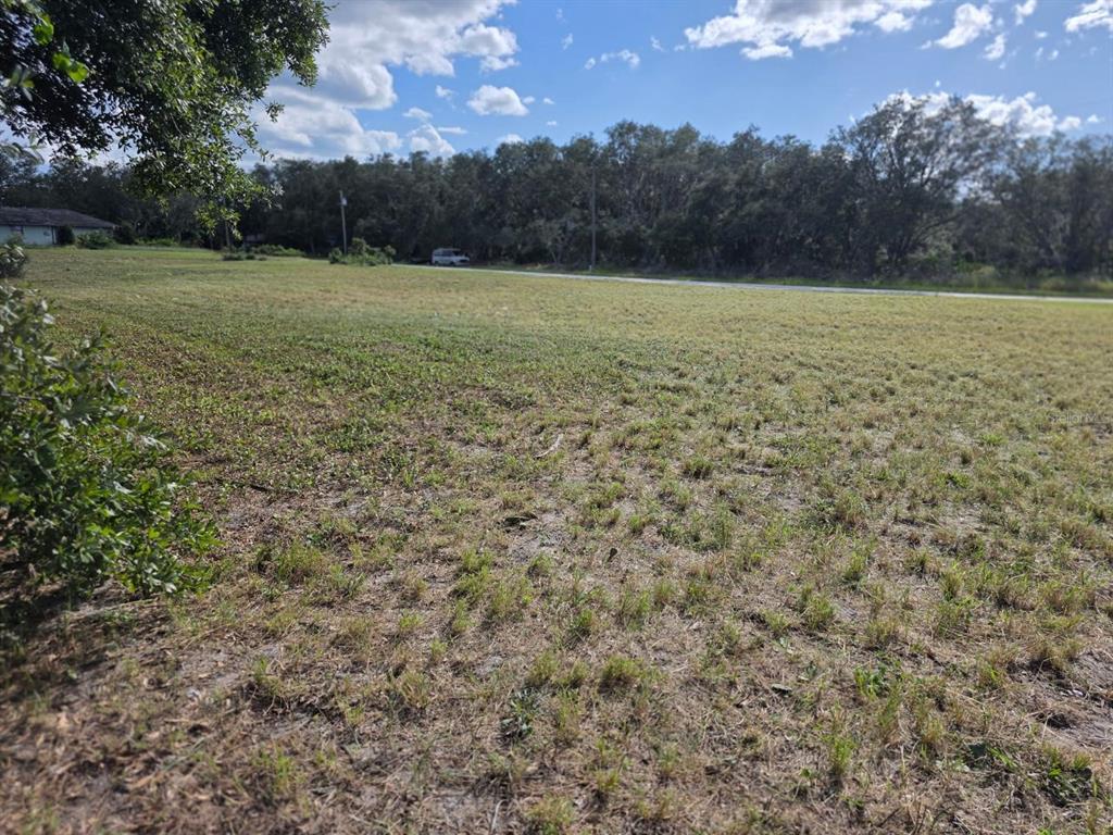 A grassy, vacant lot sits under a blue sky with trees in the background — 500 N BARRIE ROAD, AVON PARK, FL