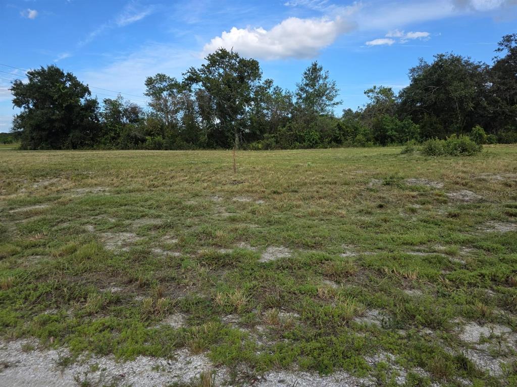 A flat, grassy vacant lot with scattered trees under a blue sky — 500 N BARRIE ROAD, AVON PARK, FL