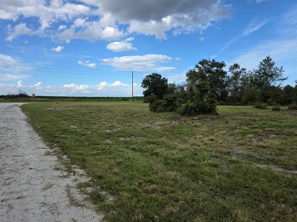 A dirt road runs alongside a grassy, undeveloped lot under a partly cloudy blue sky — 500 N BARRIE ROAD, AVON PARK, FL