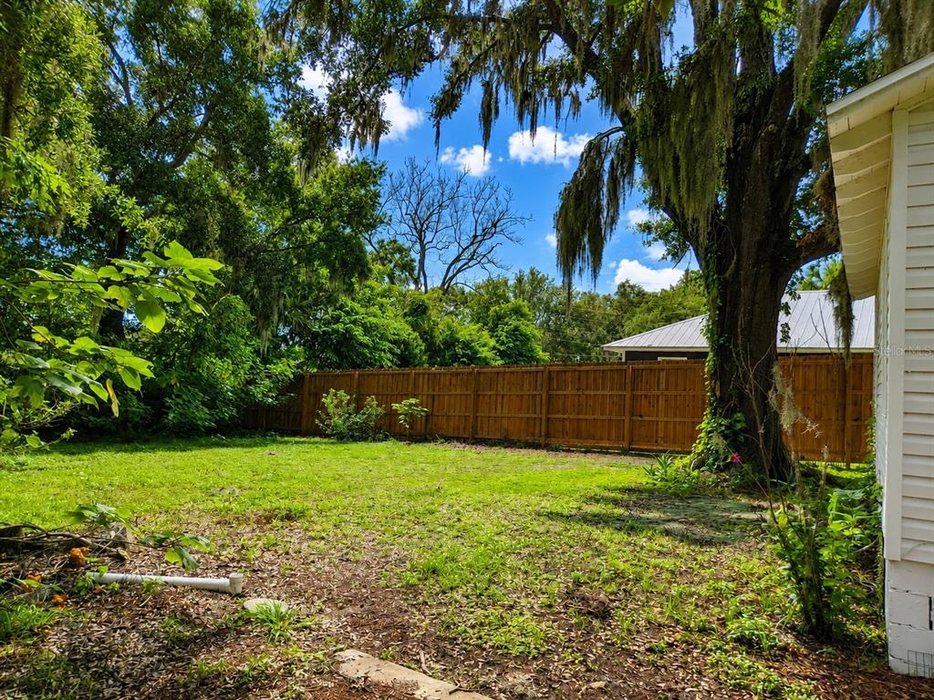 A grassy backyard features a wooden privacy fence, a large oak tree, and a house exterior — 617 NE 25TH AVENUE, OCALA, FL