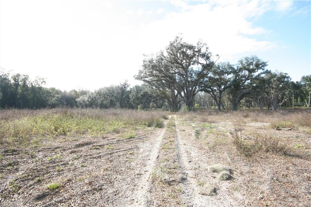 US HWY 301-6 ACRES, CITRA, FL — photo 5 of 5