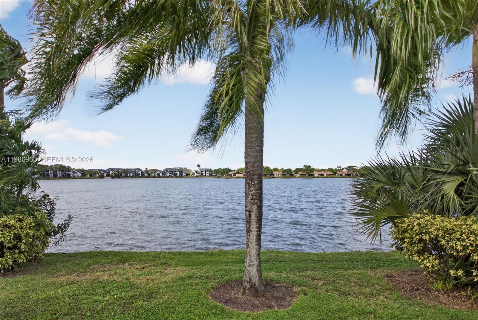 A palm tree stands on a grassy lawn overlooking a lake with distant houses — 5520 Lakeside Dr # 105, Margate FL 33063, MARGATE, FL