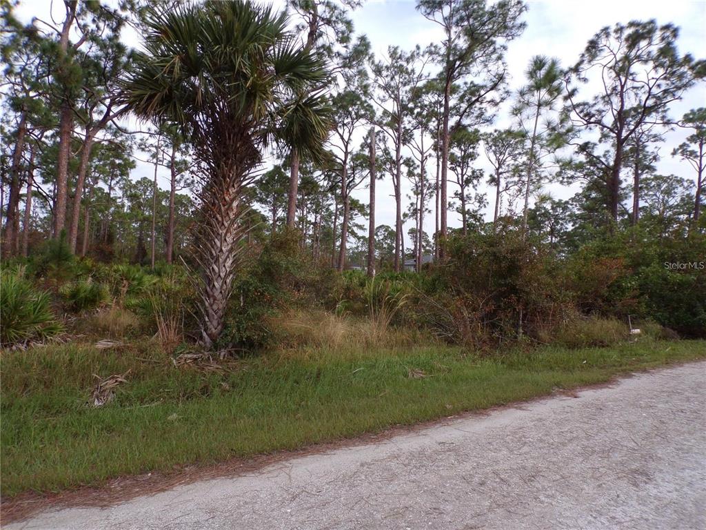 A dirt road runs alongside a wooded lot featuring a tall palm tree and pines — 13338 WEDGEWOOD DRIVE, PUNTA GORDA, FL