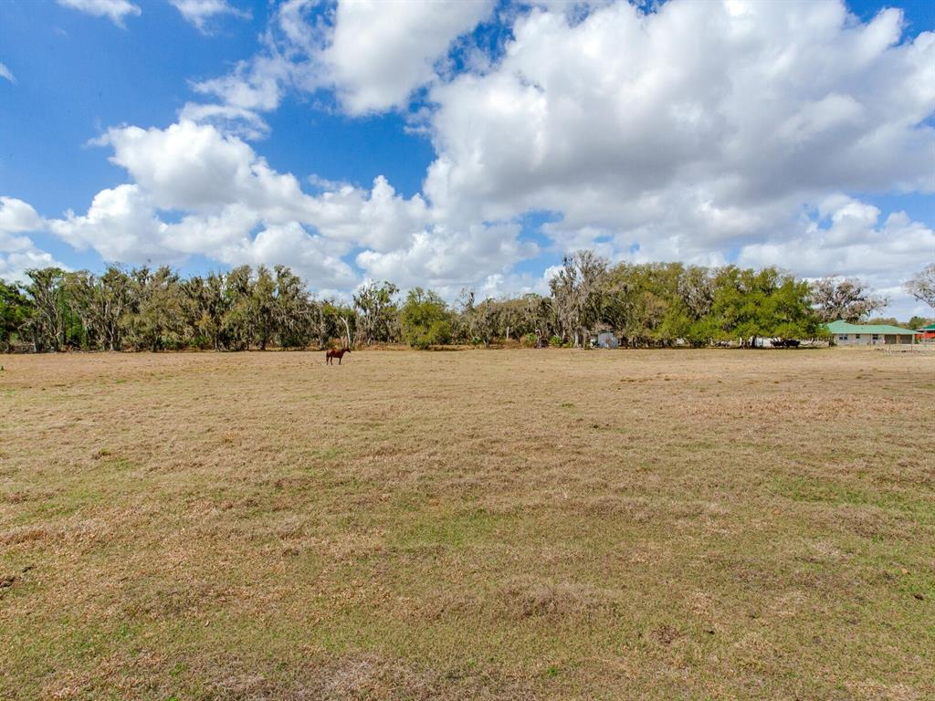 0 S CR 39, LITHIA, FL — photo 2 of 7