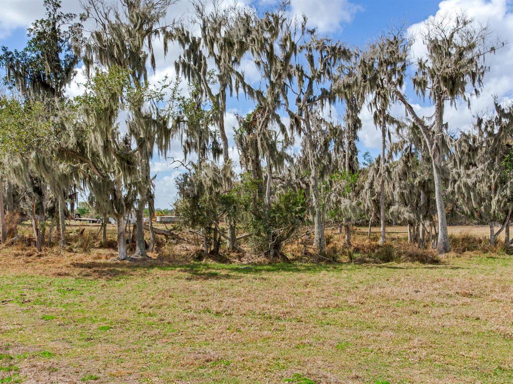 0 S CR 39, LITHIA, FL — photo 3 of 7