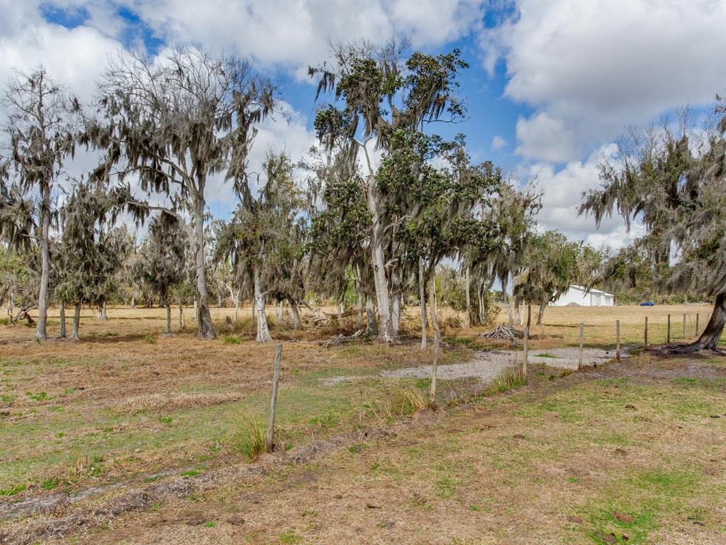 0 S CR 39, LITHIA, FL — photo 4 of 7