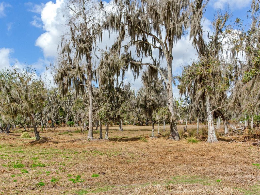 0 S CR 39, LITHIA, FL — photo 5 of 7