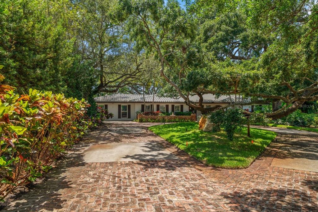 A brick driveway leads to a single-story house shaded by large, mature oak trees — 7 ROSERY LANE, BELLEAIR, FL