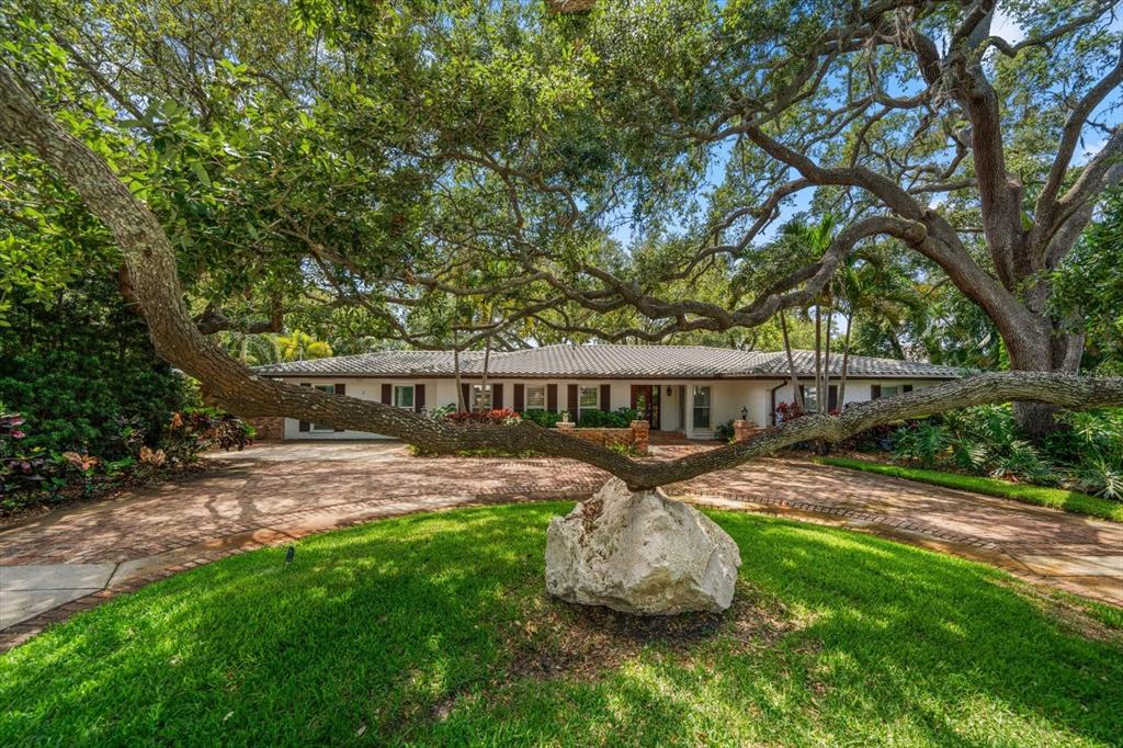 A single-story house with a brick driveway and a large tree branch resting on a rock — 7 ROSERY LANE, BELLEAIR, FL