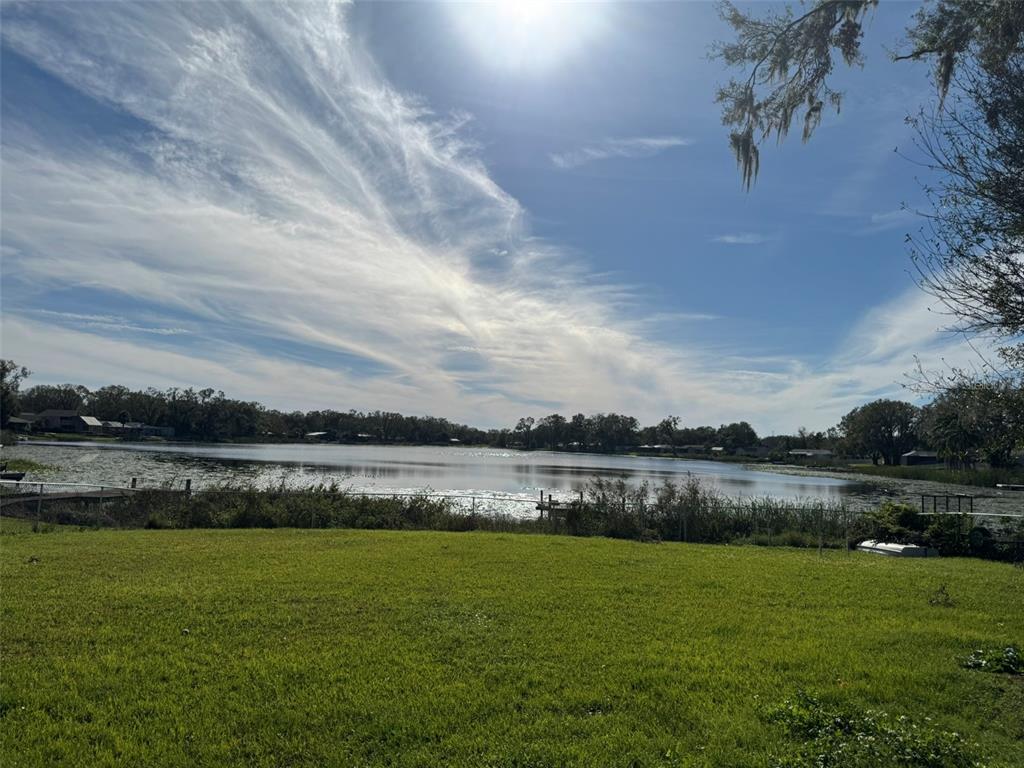 A grassy backyard overlooks a calm lake under a bright blue sky with wispy clouds — 3922 LAKE JOYCE DRIVE, LAND O LAKES, FL