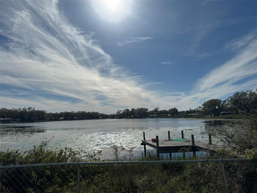 A wooden dock extends into a calm lake under a bright, cloudy sky — 3922 LAKE JOYCE DRIVE, LAND O LAKES, FL