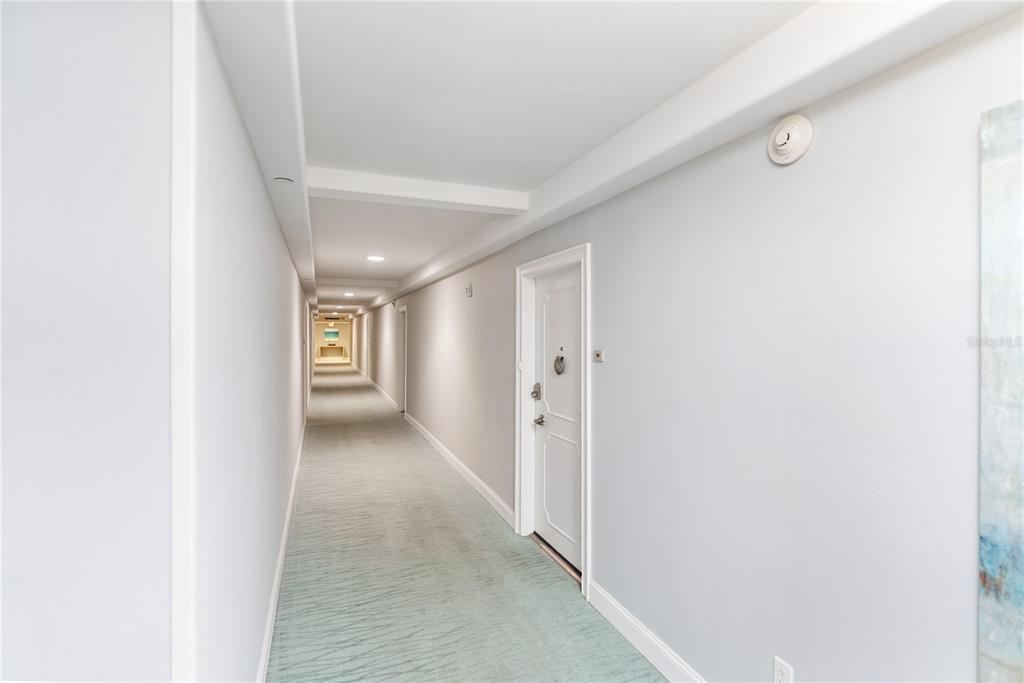 A long, narrow apartment hallway features light-colored walls, patterned carpet, and a white door — 1212 BENJAMIN FRANKLIN DRIVE UNIT 206, SARASOTA, FL
