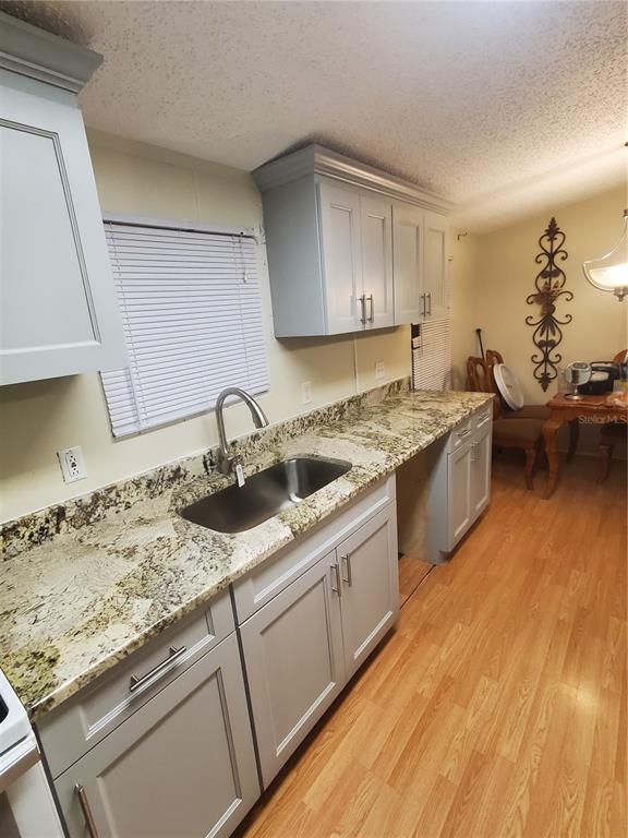 A kitchen with light gray cabinets, granite countertops, a stainless steel sink, and wood flooring — 5823 BARRY LANE, TAMPA, FL
