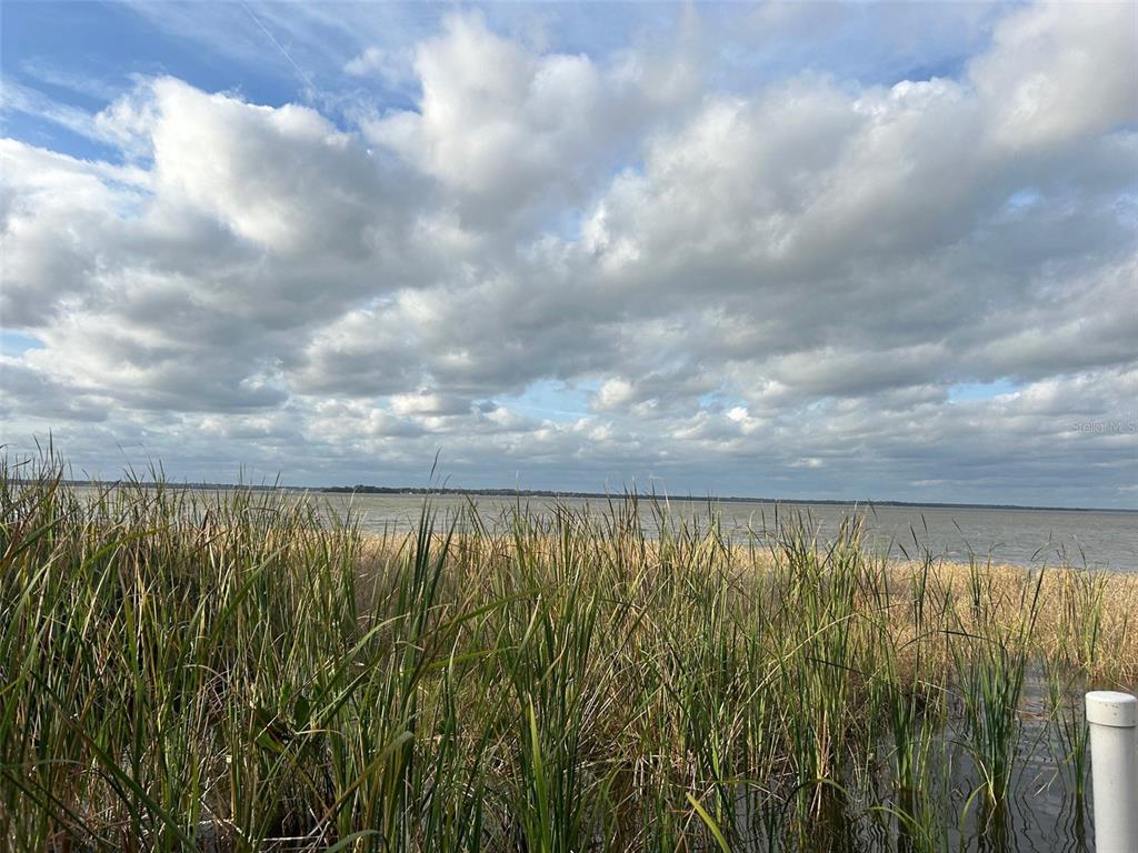 Tall grasses grow along the edge of a large lake under a cloudy sky — WATERVIEW DRIVE, LEESBURG, FL