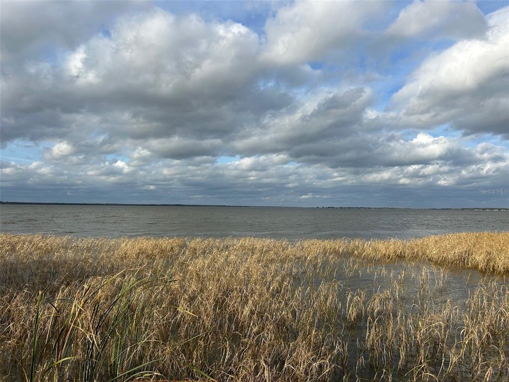 A view of a lake with tall, golden marsh grass in the foreground — WATERVIEW DRIVE, LEESBURG, FL